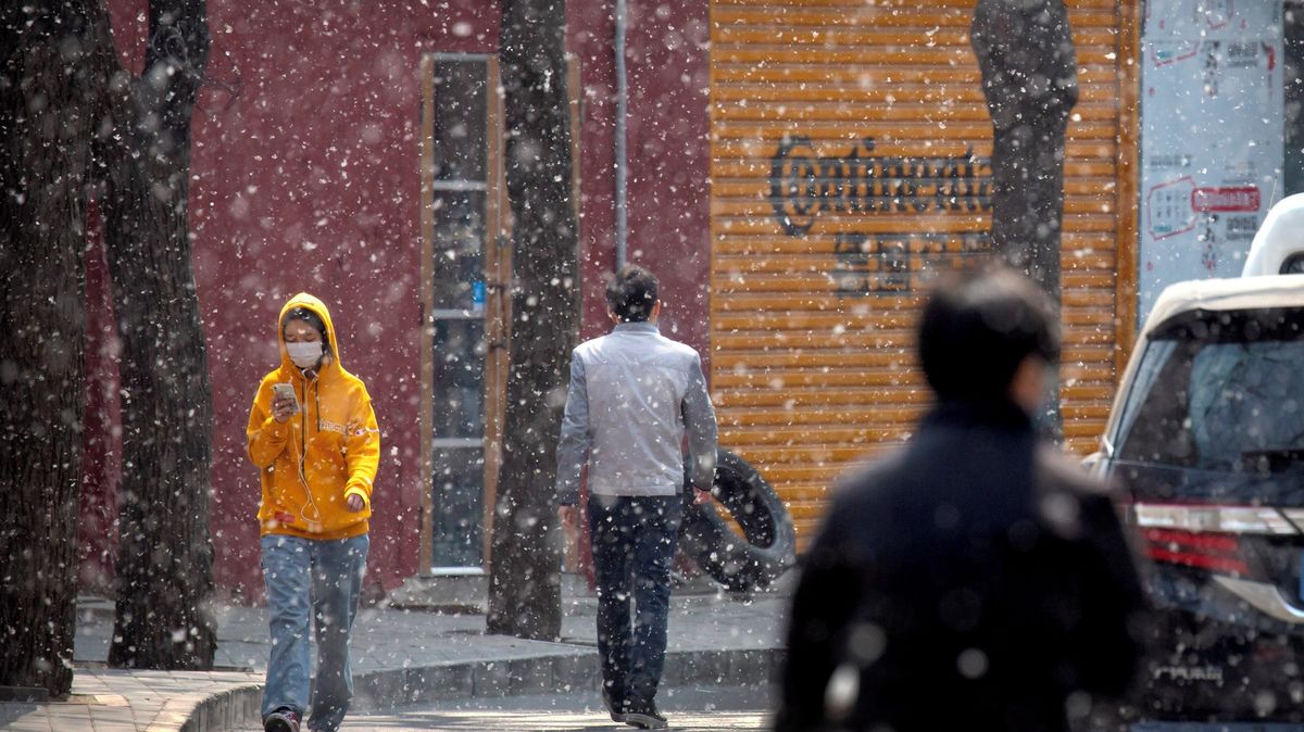 Velká zelená zeď má chránit Peking, obrací se ale proti lidem